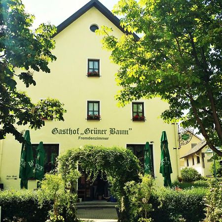 Hotel-Landgasthof Gruener Baum - Dittigheim Tauberbischofsheim Bagian luar foto