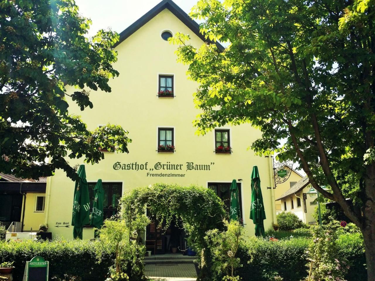 Hotel-Landgasthof Gruener Baum - Dittigheim Tauberbischofsheim Bagian luar foto